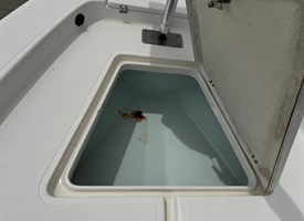 Anglers Marine